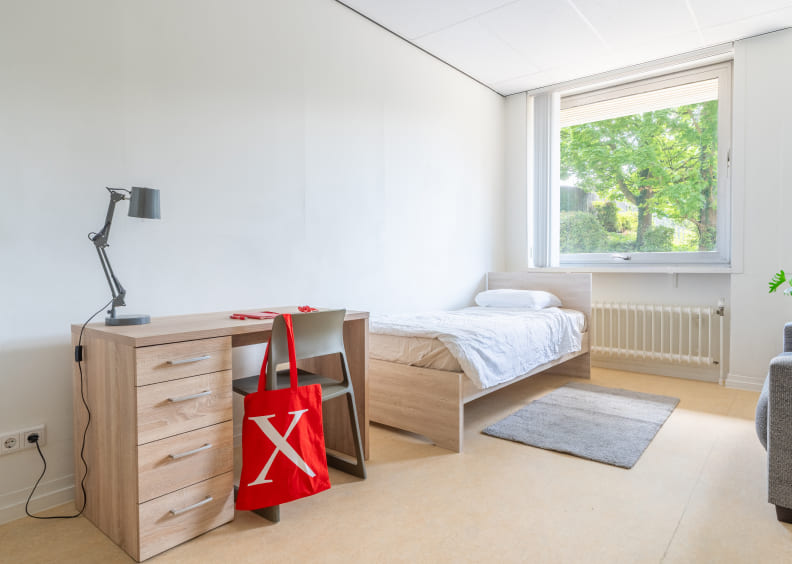 Essential  / Basement to 1st floor