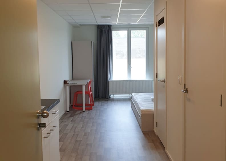 Comfy (courtyard view)