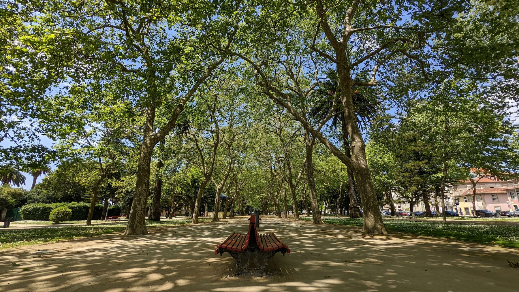 Park in Porto Lisbon - a great place to study